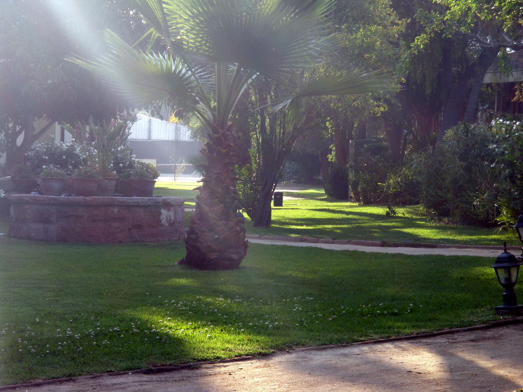 El Copihue Olmue Hotell Exteriör bild
